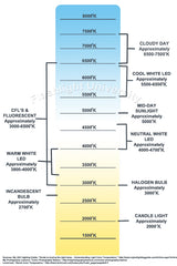 Convoy - T3 Copper AA/14500 Flashlight - Image 6